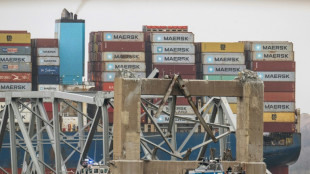 El cierre del puerto de Baltimore, un impacto econ&oacute;mico bastante localizado