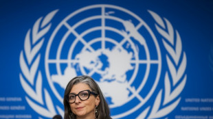 Personalidades de la cultura expresan apoyo a la relatora de la ONU para los territorios palestinos