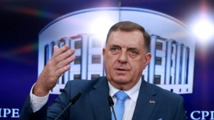 Deutschland verhängt Einreiseverbot gegen bosnischen Serbenführer Dodik
