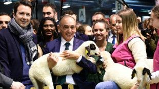 Pr&eacute;sidentielle: l'union de Zemmour et Marion Mar&eacute;chal, les "alliances altermondialistes" de M&eacute;lenchon