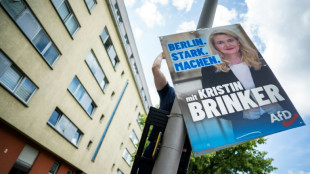 AfD-Wahlhelfer in Berlin attackiert