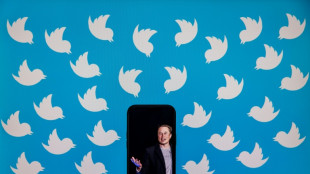 Musk vuelve a retrasar el lanzamiento de la verificaci&oacute;n de pago en Twitter