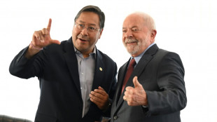 El Senado brasile&ntilde;o aprueba el ingreso definitivo de Bolivia al Mercosur