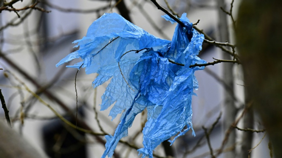 Deutschlands Verpackungsverbrauch rückläufig - Recyclingquote 2022 leicht gestiegen