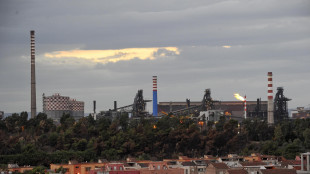 Tar Lecce sospende lo stop alla centrale termoelettrica dell'ex Ilva