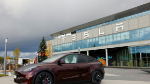 Elon Musk, &iquest;repelente o im&aacute;n para los clientes de Tesla?
