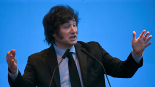 Milei anuncia un primer trimestre de super&aacute;vit financiero en Argentina desde 2008