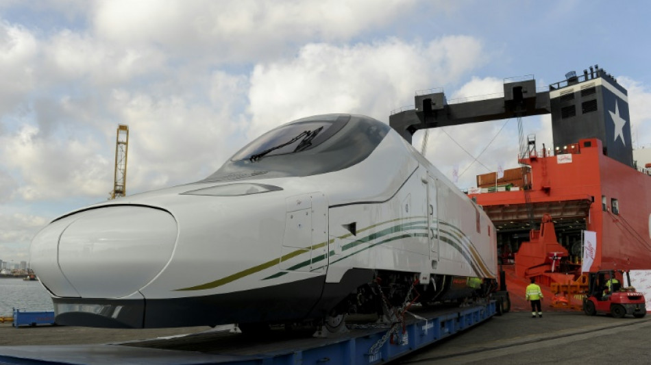 La OPA h&uacute;ngara sobre el fabricante de trenes espa&ntilde;ol Talgo preocupa al gobierno espa&ntilde;ol