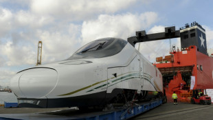 La OPA h&uacute;ngara sobre el fabricante de trenes espa&ntilde;ol Talgo preocupa al gobierno espa&ntilde;ol