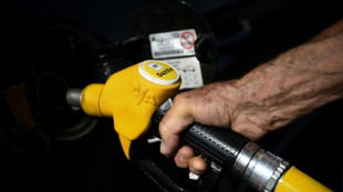 Francia propone autorizar la venta a p&eacute;rdida de combustible ante la inflaci&oacute;n