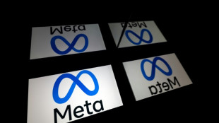 Meta presenta su propia versi&oacute;n de IA ante el frenes&iacute; de ChatGPT