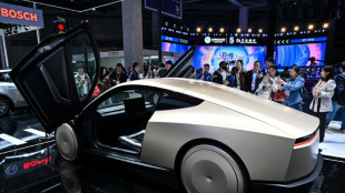 Tesla come&ccedil;a a produzir seu 'rob&ocirc;-t&aacute;xi', diz Musk