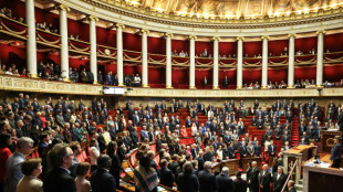 Anschlag bei Paris: Nationalversammlung h&auml;lt Schweigeminute f&uuml;r Opfer ab