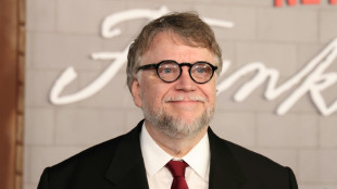 Guillermo del Toro backs Paris stop-motion animation studio