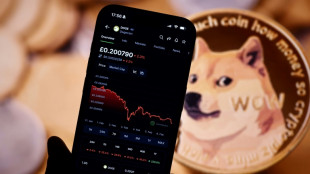 La monta&ntilde;a rusa de los inversores en criptomonedas de alto riesgo bajo Trump