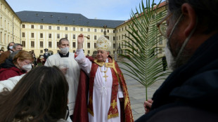 Divisive Czech cardinal Dominik Duka dies at 82