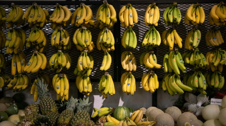 La inflaci&oacute;n de EEUU se enlentece al 5% interanual en marzo 