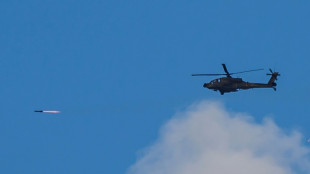 El ministerio de Salud de Ham&aacute;s reporta 12 muertos en un bombardeo contra un hospital de Gaza