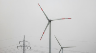 China kritisiert und droht EU wegen Br&uuml;sseler Vorgehen gegen Windturbinenhersteller