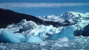 Antartide,ricostruiti 40mila anni di scambi tra ghiacci e oceano