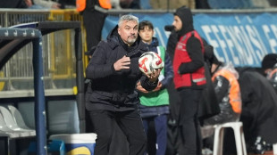 Samsunspor trennt sich von Trainer Reis - Fink kommt