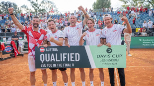 Czechs beat USA to qualify for Davis Cup finals