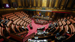 Governo pone la fiducia in Aula al Senato sul decreto bollette