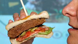 Untersuchung: Pflanzliche Alternativen erstmals im Schnitt günstiger als Tierprodukte