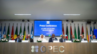 La OPEP prev&eacute; un crecimiento de la demanda mundial de petr&oacute;leo hasta 2035