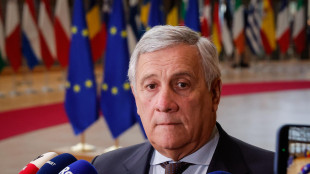 Tajani, 'l'uso dei fondi del Ponte? Valutiamolo, ma l'opera va fatta'