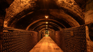 Tras d&eacute;cadas de dejadez, el cava espa&ntilde;ol espera sacar lecciones del champ&aacute;n franc&eacute;s