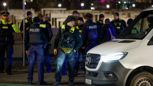 Un homme attaqu&eacute; et gri&egrave;vement bless&eacute; au M&eacute;morial de l'Holocauste &agrave; Berlin