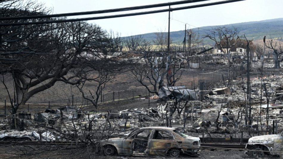 Condado de Maui demanda compa&ntilde;&iacute;a el&eacute;ctrica por letal incendio en Haw&aacute;i