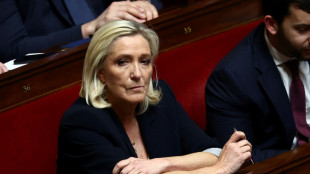 Kandidaturverbot für Le Pen: Debatte um Ausnahmegesetz in Frankreich