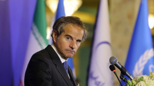 El director del OIEA pide a Ir&aacute;n medidas "concretas" de cooperaci&oacute;n sobre el programa nuclear