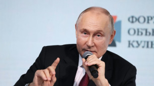 Putin participar&aacute; el mi&eacute;rcoles en una cumbre virtual del G20