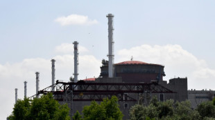 Ataques rusos da&ntilde;an el 80% de las centrales t&eacute;rmicas ucranianas