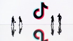 Nepal va a prohibir TikTok por "perturbar la armon&iacute;a social"