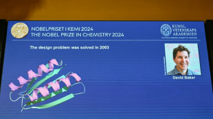 La creaci&oacute;n de nuevas prote&iacute;nas, un campo prometedor que ha merecido un Premio Nobel de Qu&iacute;mica