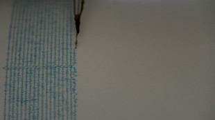 Jap&oacute;n decreta una alerta de tsunami tras un sismo de magnitud 6,8