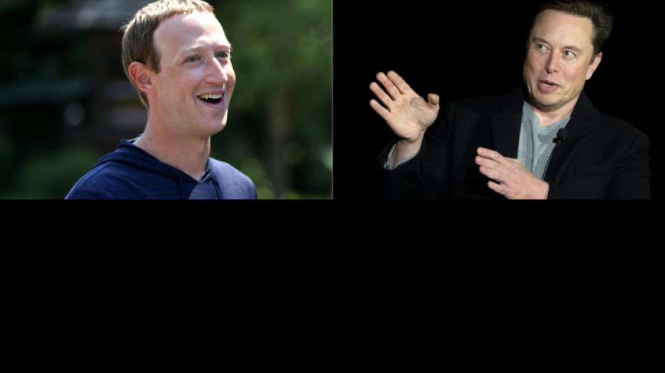 Musk transmitir&aacute; no X sua luta contra Zuckerberg, proposta para 26 de agosto