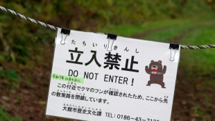 Japan town retracts latest AI bear image