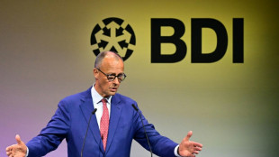 Merz kritisiert Br&uuml;ssel: EU verhandelt im US-Zollkonflikt "viel zu kompliziert"