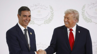 Pedro Sánchez afirma que los responsables del "genocidio" en Gaza deben responder ante la justicia