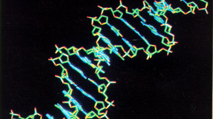 Malattie rare, con studio Telethon arriva diagnosi in bambini dopo 8 anni di attesa