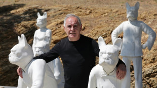 El chef espa&ntilde;ol Ferran Adri&agrave; vuelve abrir elBulli... como museo