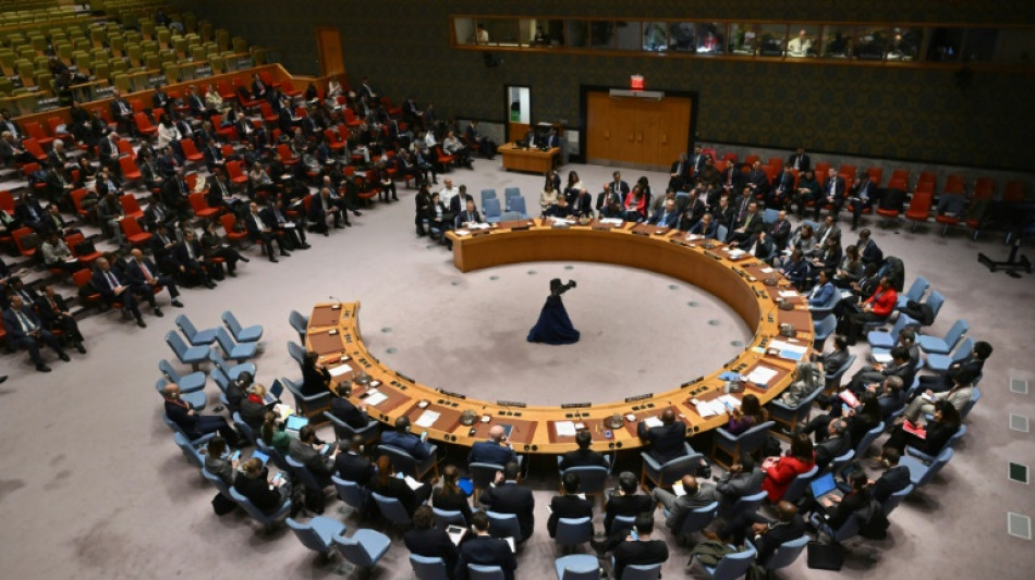Conselho de Seguran&ccedil;a da ONU pede 'cessar-fogo imediato' em Gaza