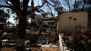 Incendio a ovest di Atene, 'situazione in miglioramento'