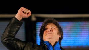 Elei&ccedil;&atilde;o de Milei na Argentina lan&ccedil;a d&uacute;vidas sobre acordo UE-Mercosul, dizem eurodeputados