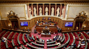 S&eacute;natoriales: journ&eacute;e d&eacute;cisive pour le RN, en qu&ecirc;te d'un groupe au S&eacute;nat
